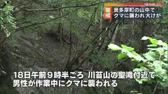 山でクマに襲われ大けが 東京 奥多摩町 Mx News Flag