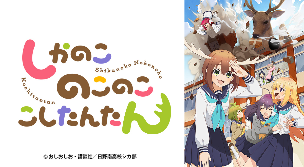 放送情報|しかのこのこのここしたんたん|アニメ|TOKYO MX