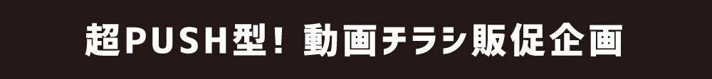 超PUSH型！動画チラシ販促企画