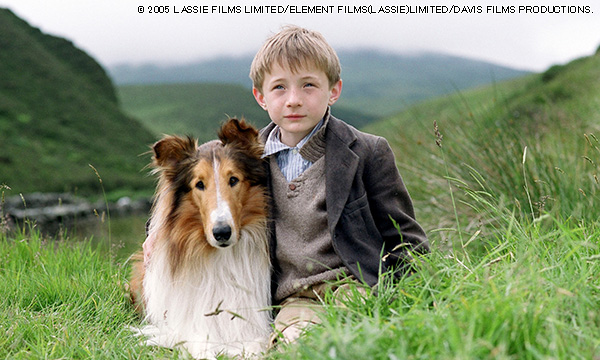 名犬ラッシー｜2015年12月30日(水) 放送 07:00～08:55| 映画放送