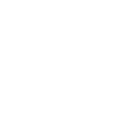 地域防災DX事業室
