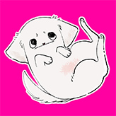 網戸スズさんのプロフィール画像（仰向けに寝転がった白い犬）