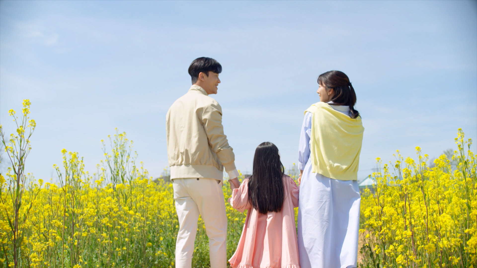 花道だけ歩きましょう ~恋の花が咲きました~ 韓国ドラマ 全41巻 - TVドラマ