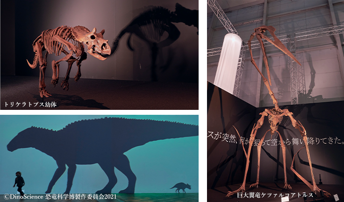 トリケラトプス幼体・巨大翼竜ケツァルコアトルス