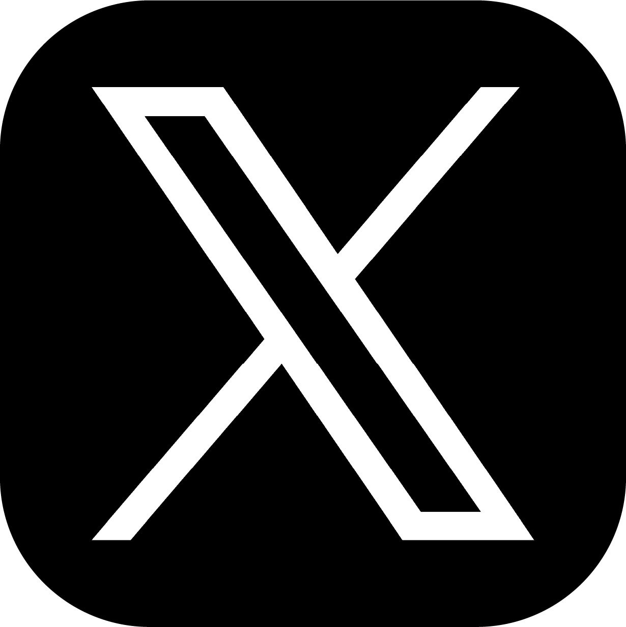 公式X