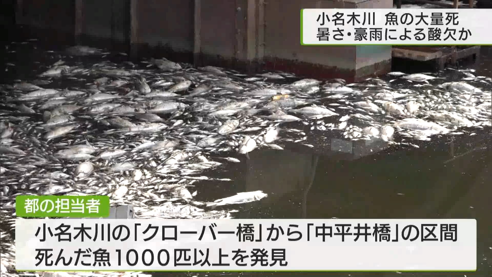 箱島湧水エア – 有限会社エア