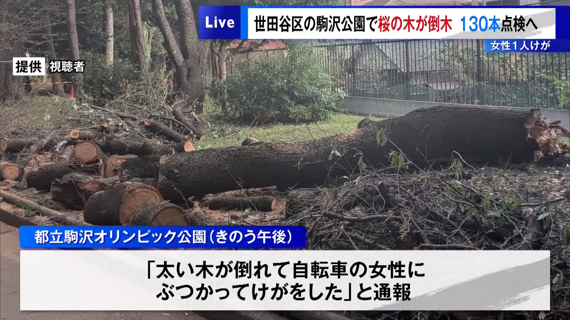 世田谷区・駒沢公園で桜の木が倒れ女性1人がけが 園内の130本点検へ
