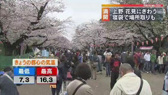 上野公園 お花見にぎわう 寝袋で場所取りも Mx News Flag