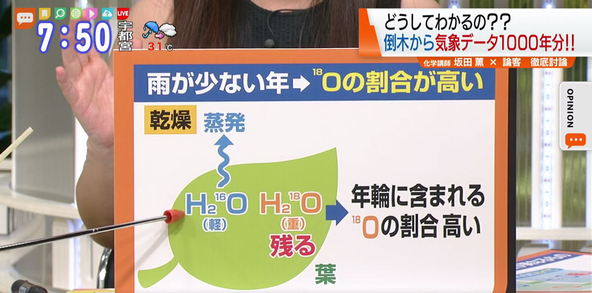 大気現象 三位一体論 流年による応期 大気現象 三位一体論 流年による応期 本