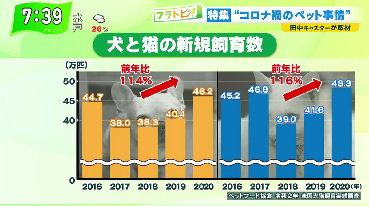 コロナ禍でペット需要高まるも「飼育放棄」が増加…ペット事情最前線