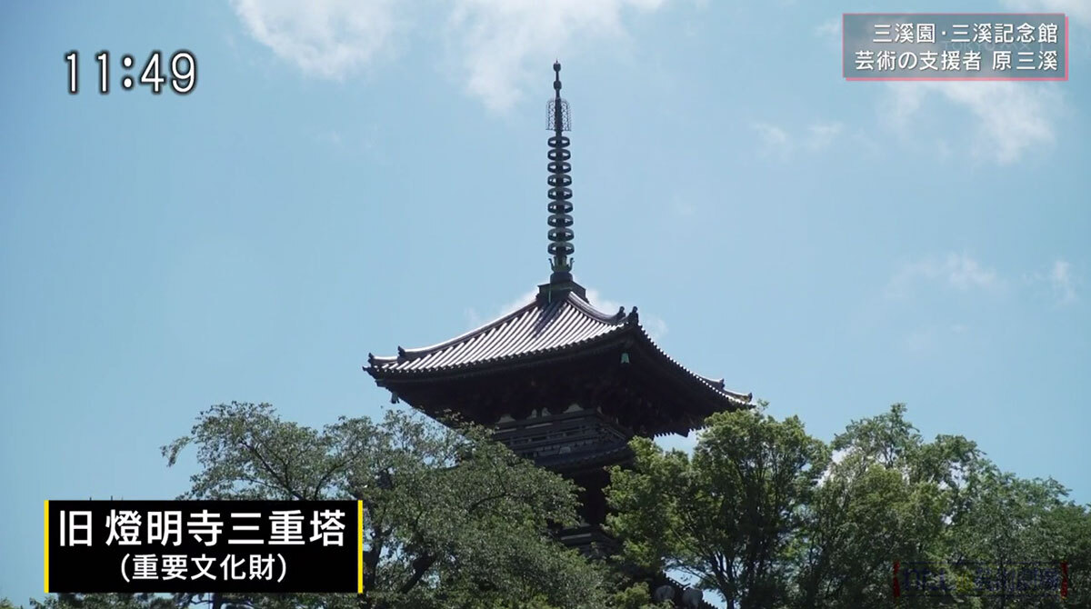 日本美術界屈指のパトロンが築いた日本庭園と「三溪記念館」に片桐仁が拍手｜TOKYO MX+（プラス）