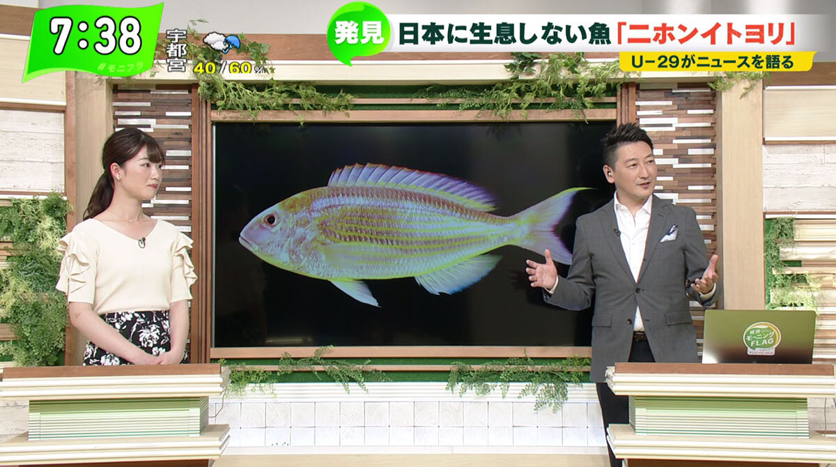 日本未発見の ニホンイトヨリ を鹿児島で初確認 魚の分布は人の分布 Tokyo Mx プラス