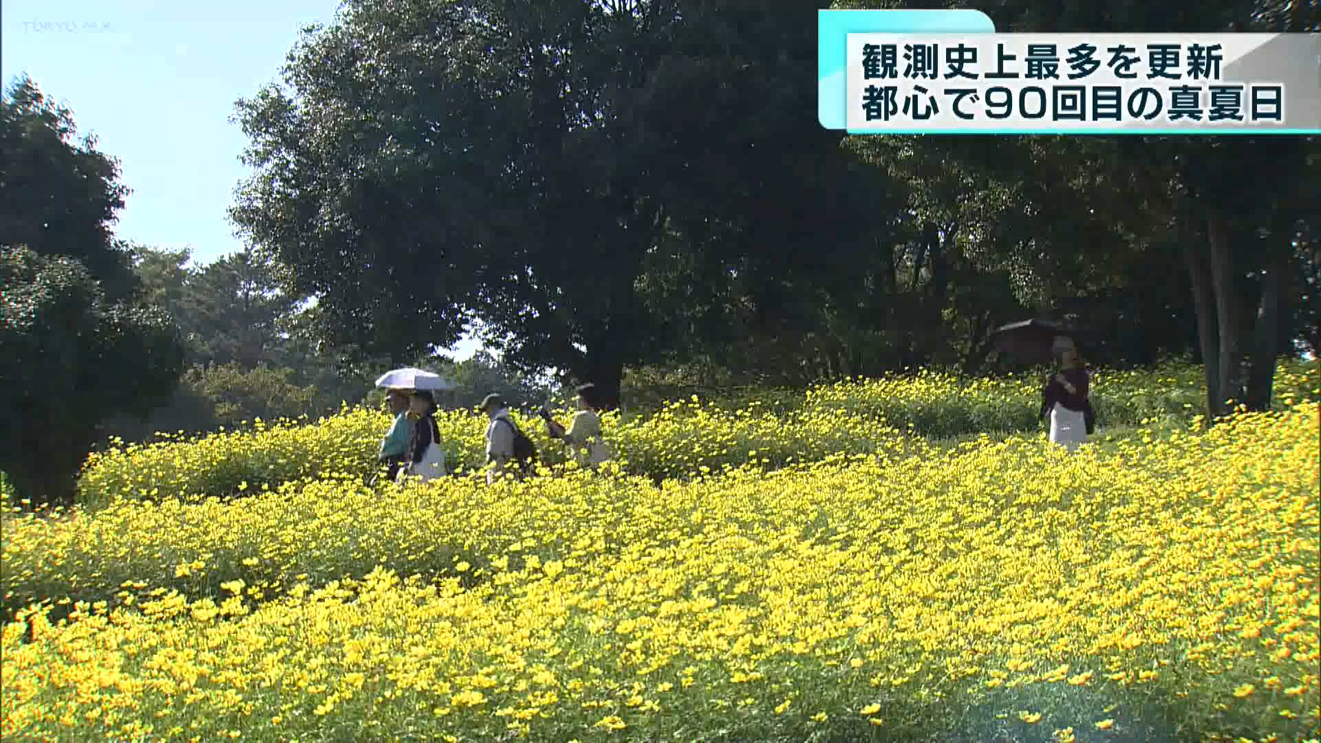 9月28日も都内各地で真夏日を記録し、秋の花々を鑑賞しに公園を訪れた人たちは戸惑いを見せていました。