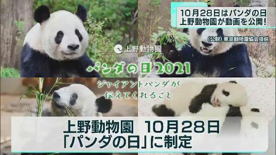 10月28日は「パンダの日」　上野動物園が特別動画を公開