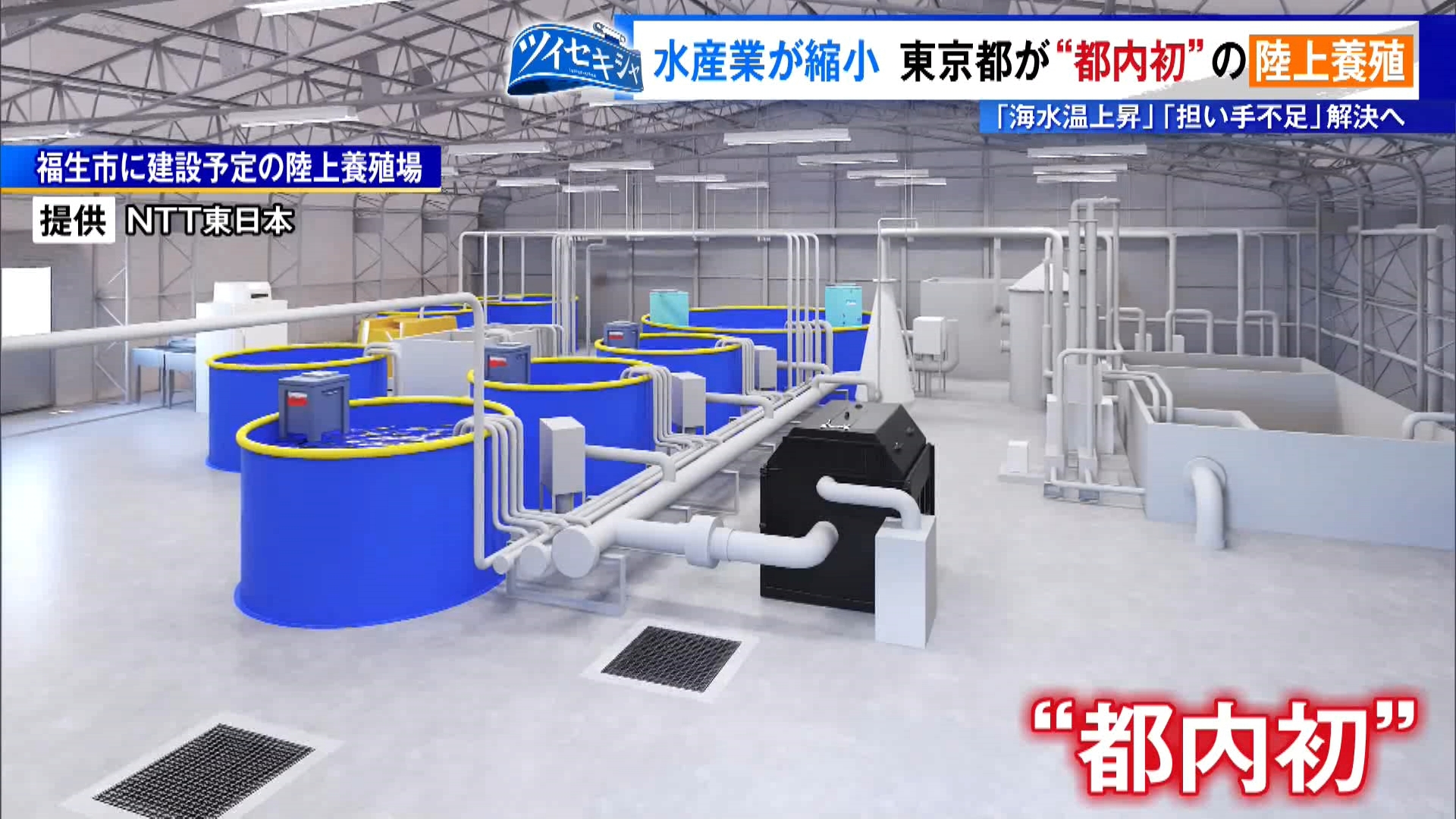 TOKYO MXの報道記者が注目したニュースを深堀りして解説する特集企画「ツイセキシャ」。今回お伝えするのは東京都が初めて取り組む「陸上養殖」についてです。
日本の水産業は異常気象や後継者不足など多くの課題に直面しています。その現状と東京都の取り組みを取材しました。