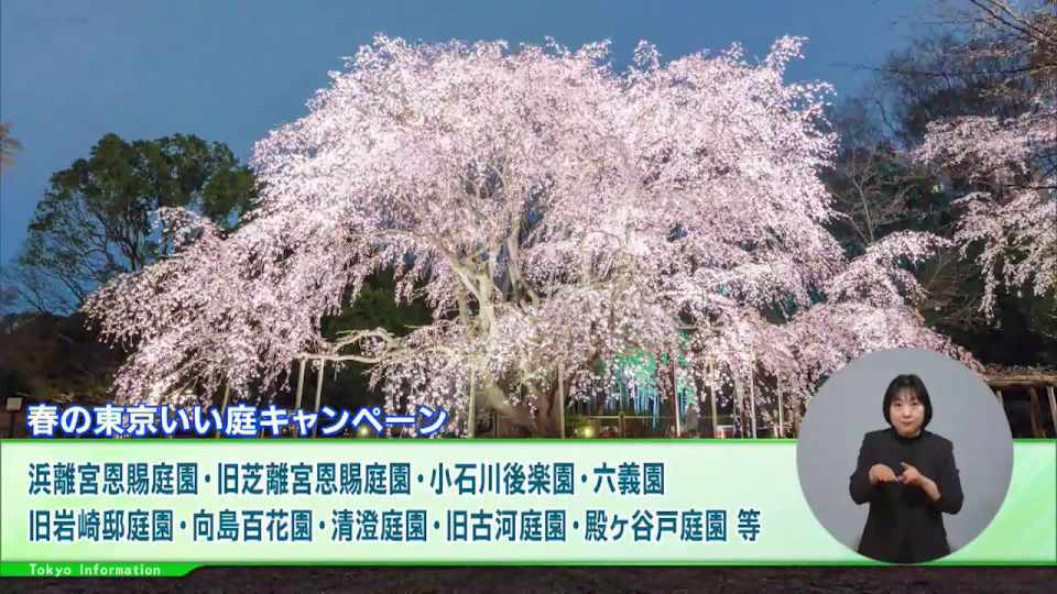 暮らしに役立つ情報をお伝えするTOKYO MX（地上波9ch）の情報番組「東京インフォメーション」（水曜・金曜 午後8時44分～）。
今回は、都内29の庭園でライトアップ等が楽しめるキャンペーンや、ペンギン来日111周年を記念したユニークな企画展について紹介しました。