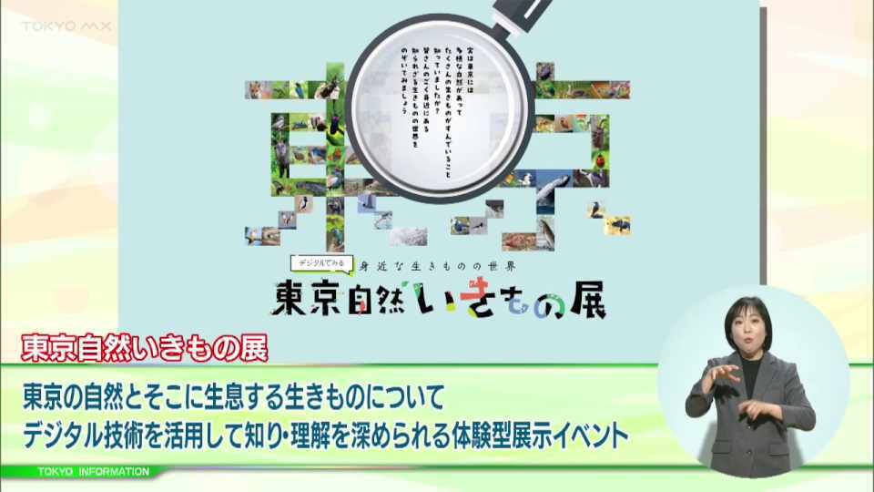 暮らしに役立つ情報をお伝えするTOKYO MX（地上波9ch）の情報番組「東京インフォメーション」（毎週月―金曜、朝7:15～）。
今回は8K映像やARなどデジタル技術を活用して東京の自然と生き物を知り・理解を深めることができる、体験型展示イベント「東京自然いきもの展」についてや、「ライフ・ワーク・バランスEXPO東京2023」がリアルとオンラインで同時開催されることを紹介しました。