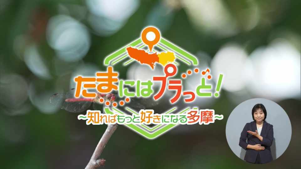 暮らしに役立つ情報をお伝えするTOKYO MX（地上波9ch）の情報番組「東京インフォメーション」（毎週月―金曜、朝7:15～）。
今回は魅力的なスポットがあふれる多摩エリアを紹介する特別企画「たまにはプラっと！」であきる野市にある築170年の歴史を感じる蔵カフェや、幼稚園や保育所などの垣根を越えて乳幼児の成長・発達をサポートする「とうきょう すくわくプログラム」のロゴマークを紹介しました。
