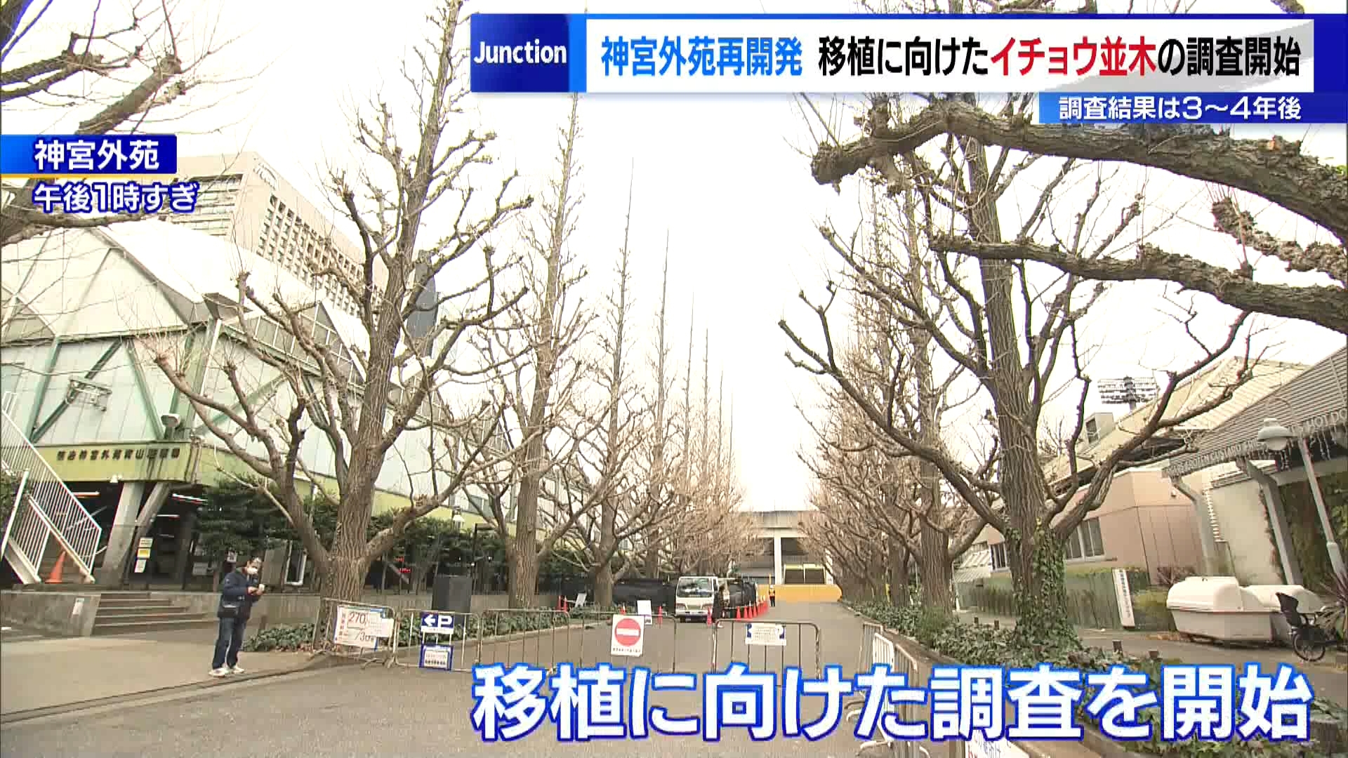 樹木の伐採を巡って反対の声が上がる明治神宮外苑の再開発について、事業者が樹木を移植するための調査を開始しました。調査の対象となるのは、4列のイチョウ並木から秩父宮ラグビー場に向かう道路の両脇にあるイチョウ並木などの19本です。調査は2月3日から始まり、4日には報道陣にその様子が公開されました。