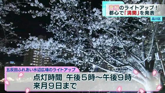 東京都心で桜のソメイヨシノの満開が発表されました。見頃を迎えている品川区・五反田駅から程近い水辺広場の桜の様子を動画でお楽しみください。