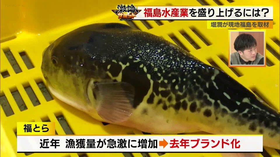 TOKYO MX(地上波9ch)朝の報道・情報生番組「堀潤モーニングFLAG」(毎週月~金曜6:59~)。「激論サミット」のコーナーでは、福島の水産業を盛り上げる術について議論しました。
