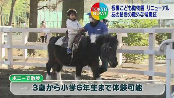 建物の老朽化のため改修工事を行っていた、東京都板橋区の「板橋こども動物園」が生まれ変わりました。
