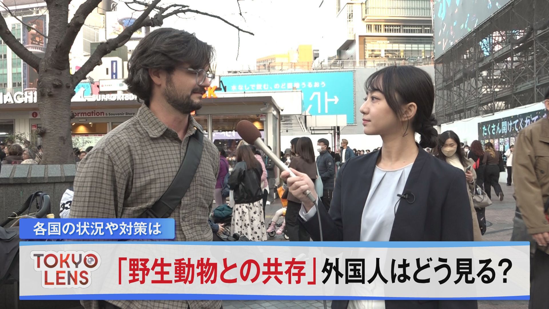 「野生動物との共存」外国人はどう見る？