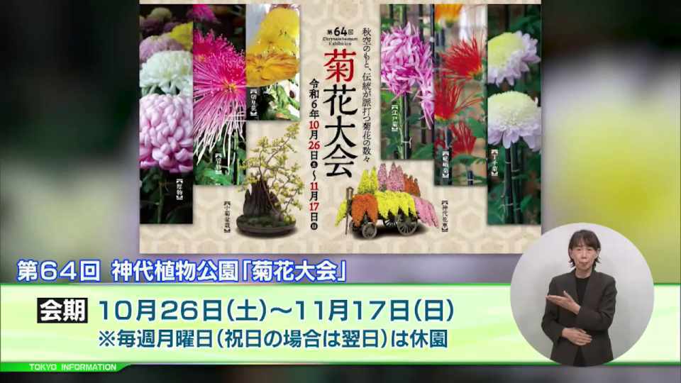 暮らしに役立つ情報をお伝えするTOKYO MX(地上波9ch)の情報番組「東京インフォメーション」(毎週月―金曜、朝7:15~)。
今回は神代植物公園で開催される開園当初から続く恒例の「菊花大会」や、東京文化財ウィークに合わせて開催される都立動物園・水族園のイベントを紹介しました。