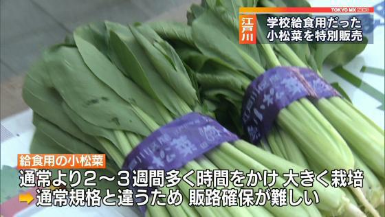 新型コロナで余剰に…給食用だった小松菜を特別販売！　東京・江戸川区