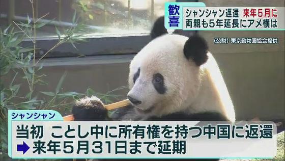 シャンシャン返還延期 東京・アメ横では歓喜の声