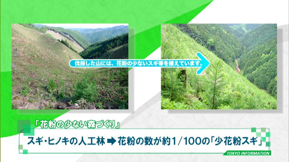 暮らしに役立つ情報をお伝えするTOKYO MX(地上波9ch)の情報番組「東京インフォメーション」(毎週月―金曜、朝7:15~)。
今回は花粉の少ない森づくりなどの林業の振興のための都の取り組み「花粉の少ない森づくり運動」についてや、商店街で開業する人の育成を目指し都内商店街の活性化につなげる「若手・女性リーダー応援プログラム助成事業」を紹介しました。