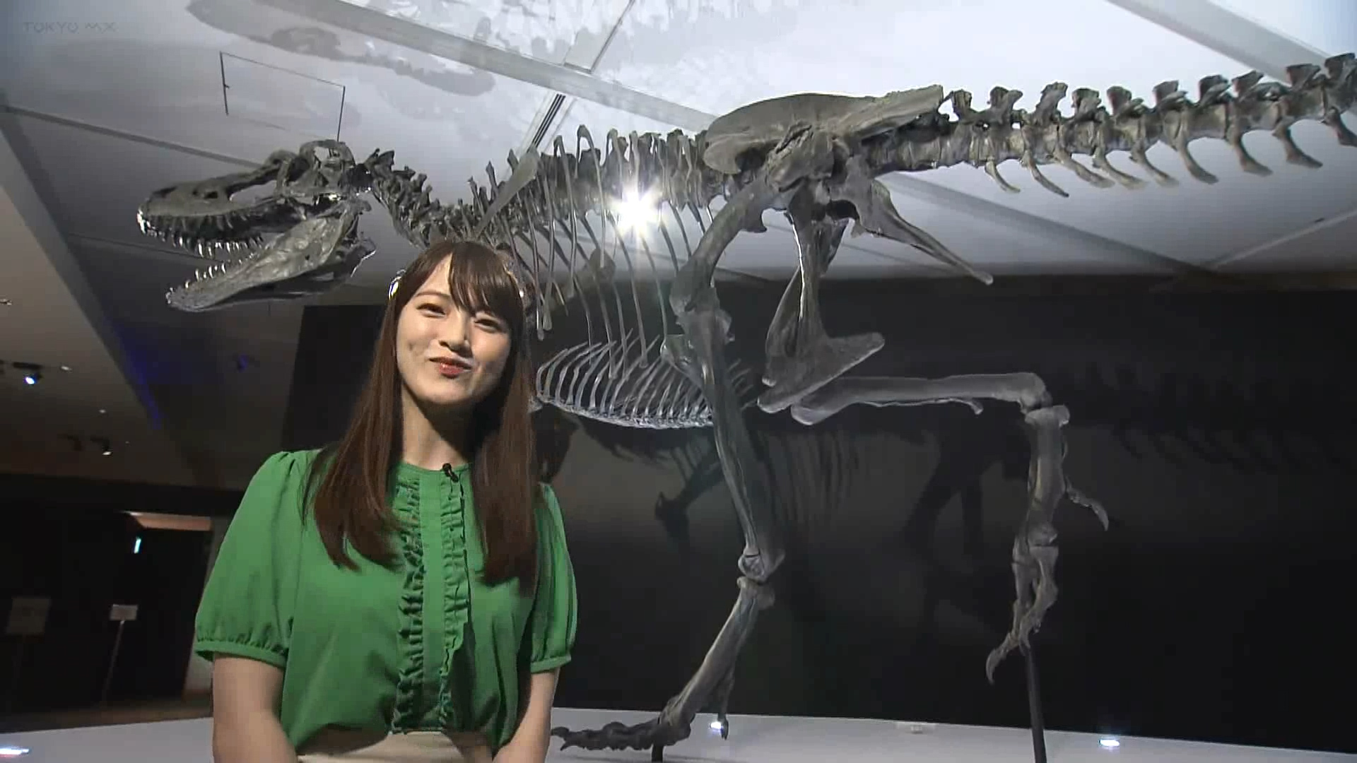 現在、東京ミッドタウンで開催中の恐竜科学博から注目の恐竜を中継で紹介します。きょう注目の恐竜は、肉食恐竜「ゴルゴサウルス」です。