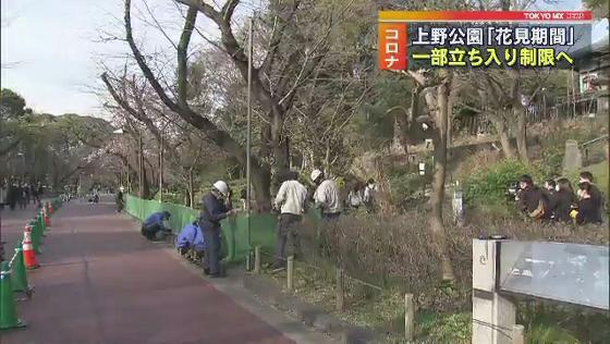 コロナ対策で上野恩賜公園で花見制限 Tokyo Mx プラス