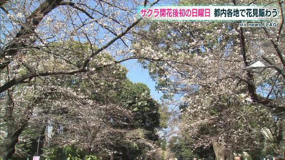 サクラ開花後初の日曜日　都内各所で花見賑わう