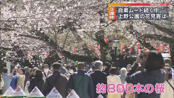 自粛ムードの中 上野公園の花見客は Tokyo Mx プラス