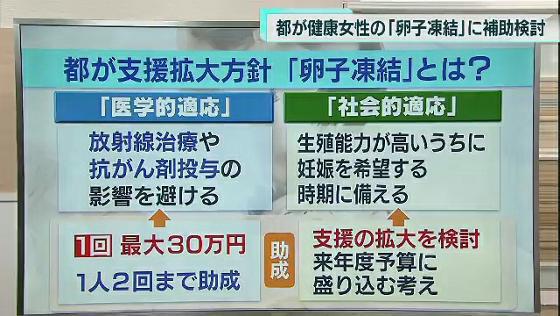 東京都の小池知事は12月7日「健康な女性の将来の選択肢として、卵子凍結への関心が高まっている。子どもを望む人への支援充実の観点から対応を検討する」と述べ、卵子を凍結保存する際の費用補助を健康な女性にも拡充する考えを示しました。詳しくまとめました。