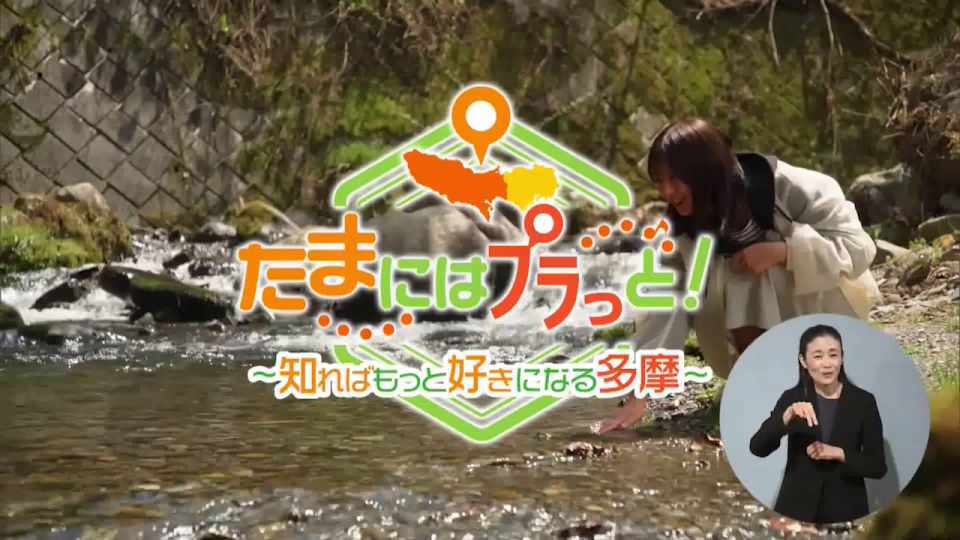 暮らしに役立つ情報をお伝えするTOKYO MX(地上波9ch)の情報番組「東京インフォメーション」(毎週月―金曜、朝7:15~)。
今回は豊かな自然と魅力的なスポットがあふれる多摩エリアを紹介する特別企画「たまにはプラっと!」で大自然に囲まれた「檜原村」や、都の男性の家事・育児推進セミナーの参加者募集を紹介しました。