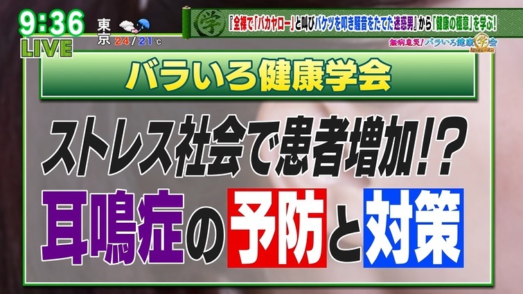 軽い耳鳴りから うつ 不眠 に 悪循環のメカニズムを医師が解説 Tokyo Mx プラス