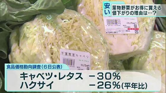 　いま、葉物野菜の値段がとてもお得になっています。その理由について探りました。