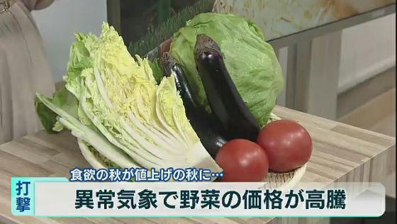 　少しずつ秋も深まり“食欲の秋”といきたいところですが、東京都内のスーパーではさまざまな野菜の値段が上がっています。TOKYO MX「news TOKYO FLAG」では、野菜価格の現状を取材しました。