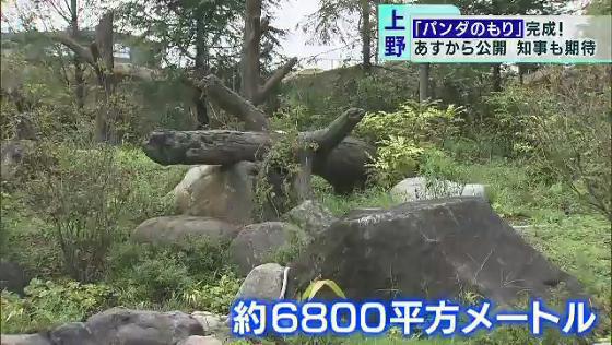 上野動物園に パンダのもり オープン Tokyo Mx プラス