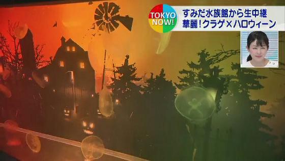　東京スカイツリーの麓にあるすみだ水族館で、ハロウィーンにちなんだ特別企画が開催されています。クラゲとハロウィーンの華麗なコラボレーションです。