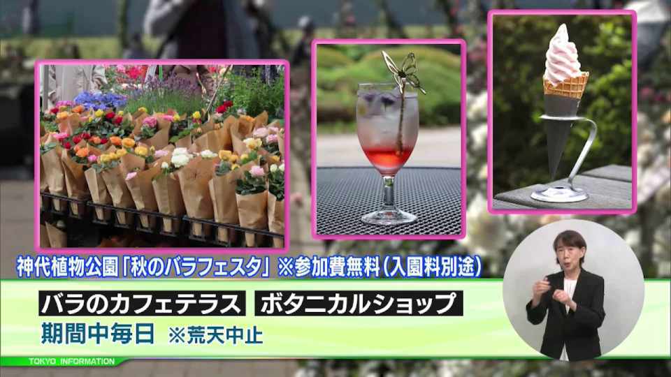 毎日バラのカフェテラスやボタニカルショップがオープン　神代植物公園で「秋のバラフェスタ」が開催