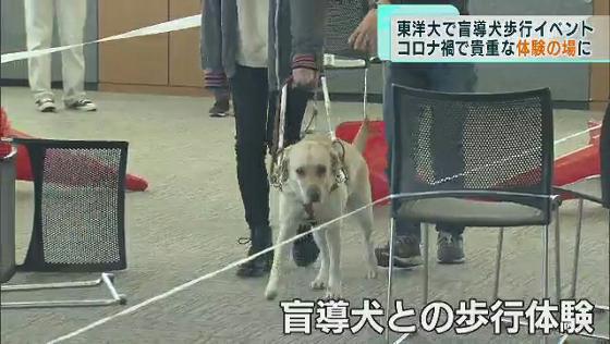 東洋大学で盲導犬の歩行体験イベント　コロナ禍で貴重な「学びの場」に