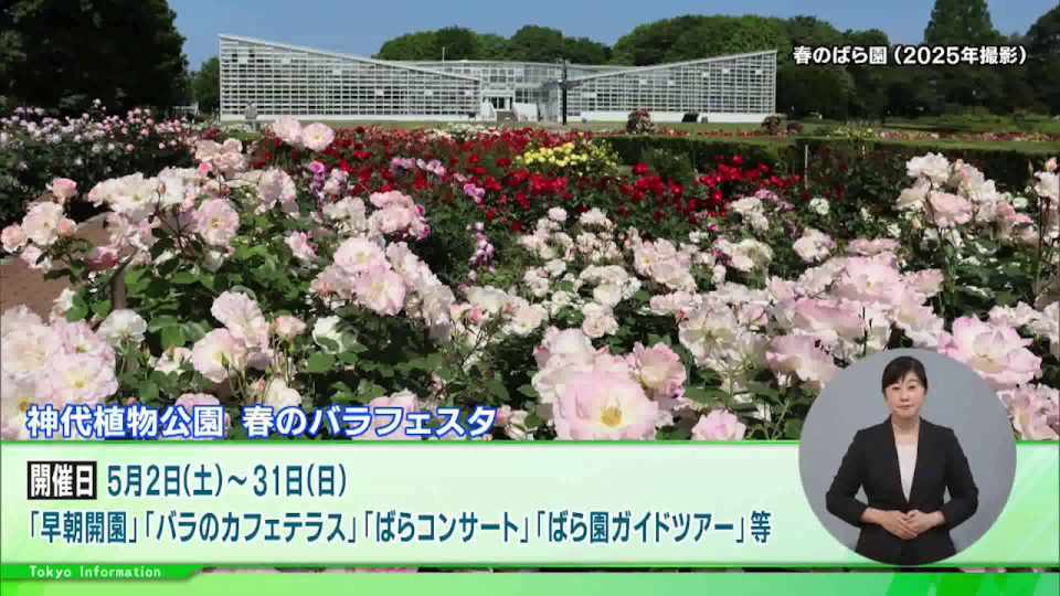 暮らしに役立つ情報をお伝えするTOKYO MX（地上波9ch）の情報番組「東京インフォメーション」（水曜・金曜 午後8時40分～）。
今回は、多彩な春バラが一面に咲き揃う神代植物公園で開催されるバラフェスタや、最新デジタル技術が集結する「スマートシティフェスタ」について紹介しました。