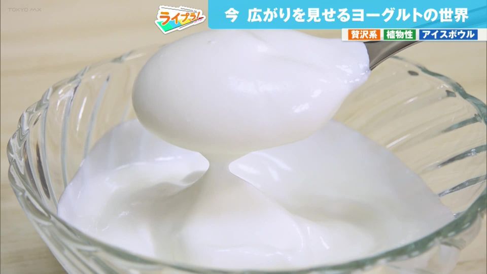 今、ヨーグルトが大きく進化！ちょっとリッチな贅沢系から健康志向の植物性、スイーツとしても大人気！最新ヨーグルト事情