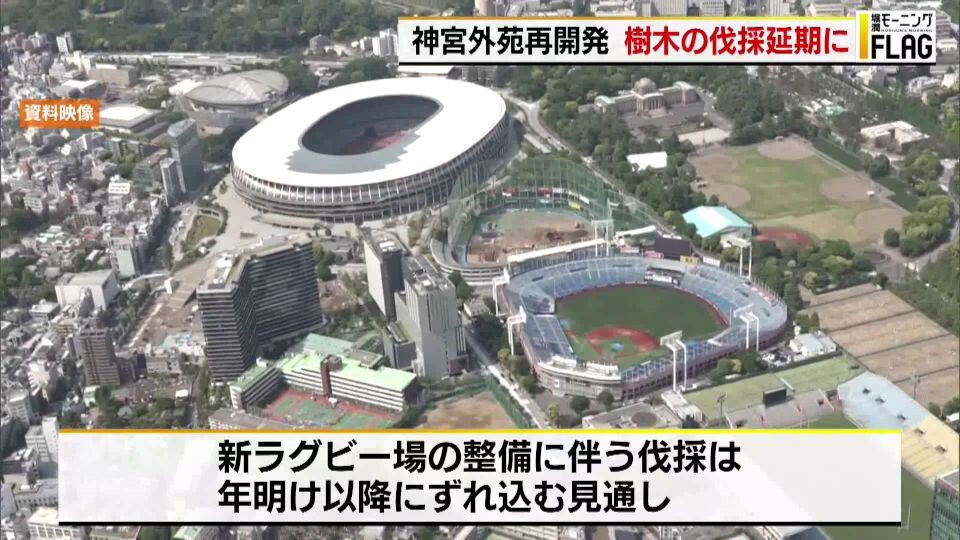 明治神宮外苑再開発問題、世界的には再野生化がトレンドも…本当に樹木は伐採するべきなのか？