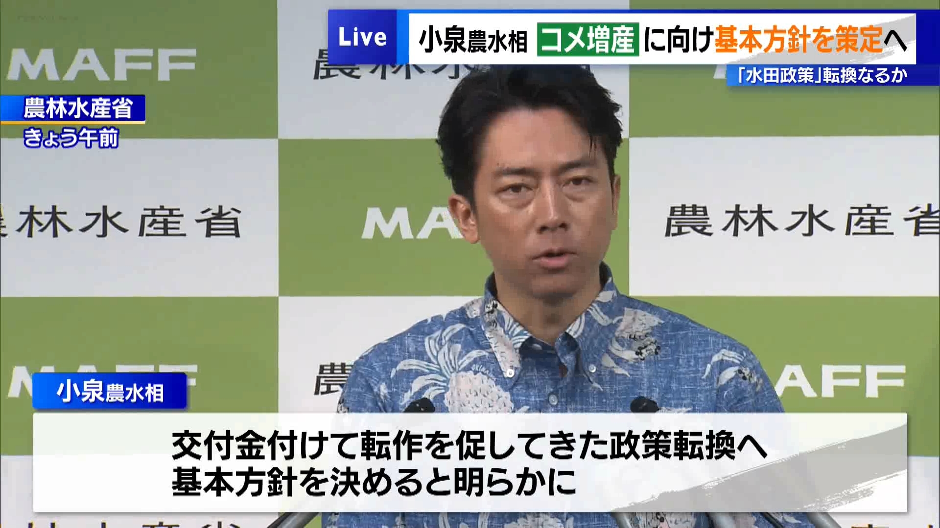 コメの増産で、水田政策の大転換となるのでしょうか。小泉農水相は6月3日の閣議後の会見で、交付金を付けてコメ以外の作物への転作を促してきた政策の転換に向けて、基本方針を決めることを明らかにしました。