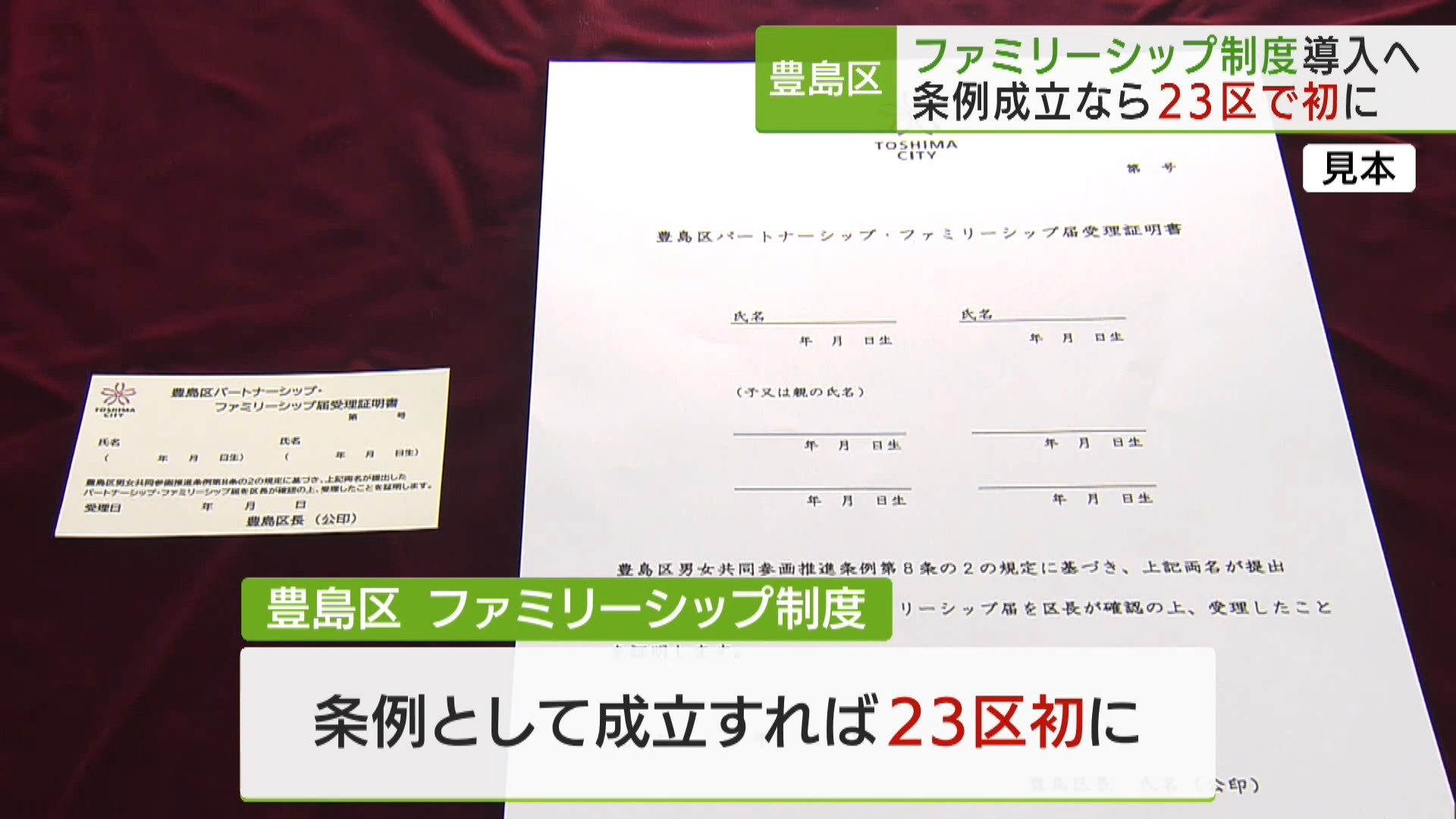 東京・豊島区は9月18日の区議会で、性的マイノリティーの人たちについて、パートナーの親や子どもたちと家族であると公的に証明する「ファミリーシップ制度」を導入する条例改正案を提出しました。可決されれば条例としては東京23区で初となります。