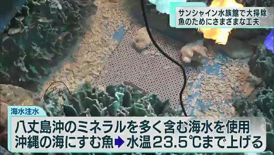 年の瀬を迎え、東京・池袋にあるサンシャイン水族館で恒例の水槽の大掃除が行われました。随所にスタッフの工夫が施されています。
